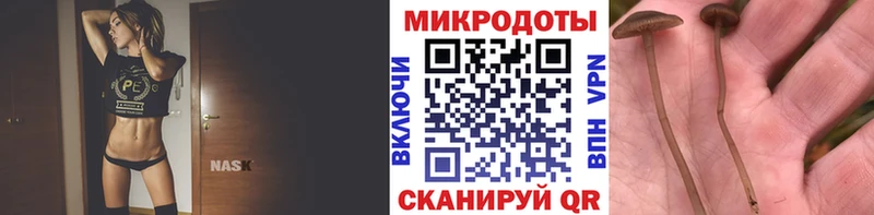 Галлюциногенные грибы GOLDEN TEACHER  Оханск 